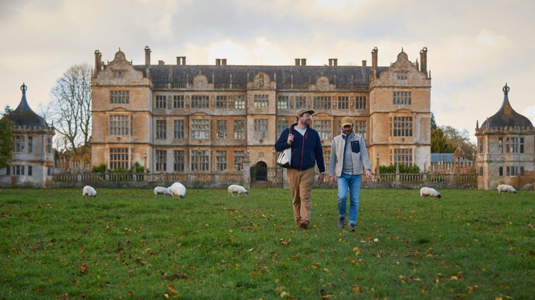 Two people walking through rough grass, surrounded by sheep, with a golden-stone mansion behind
